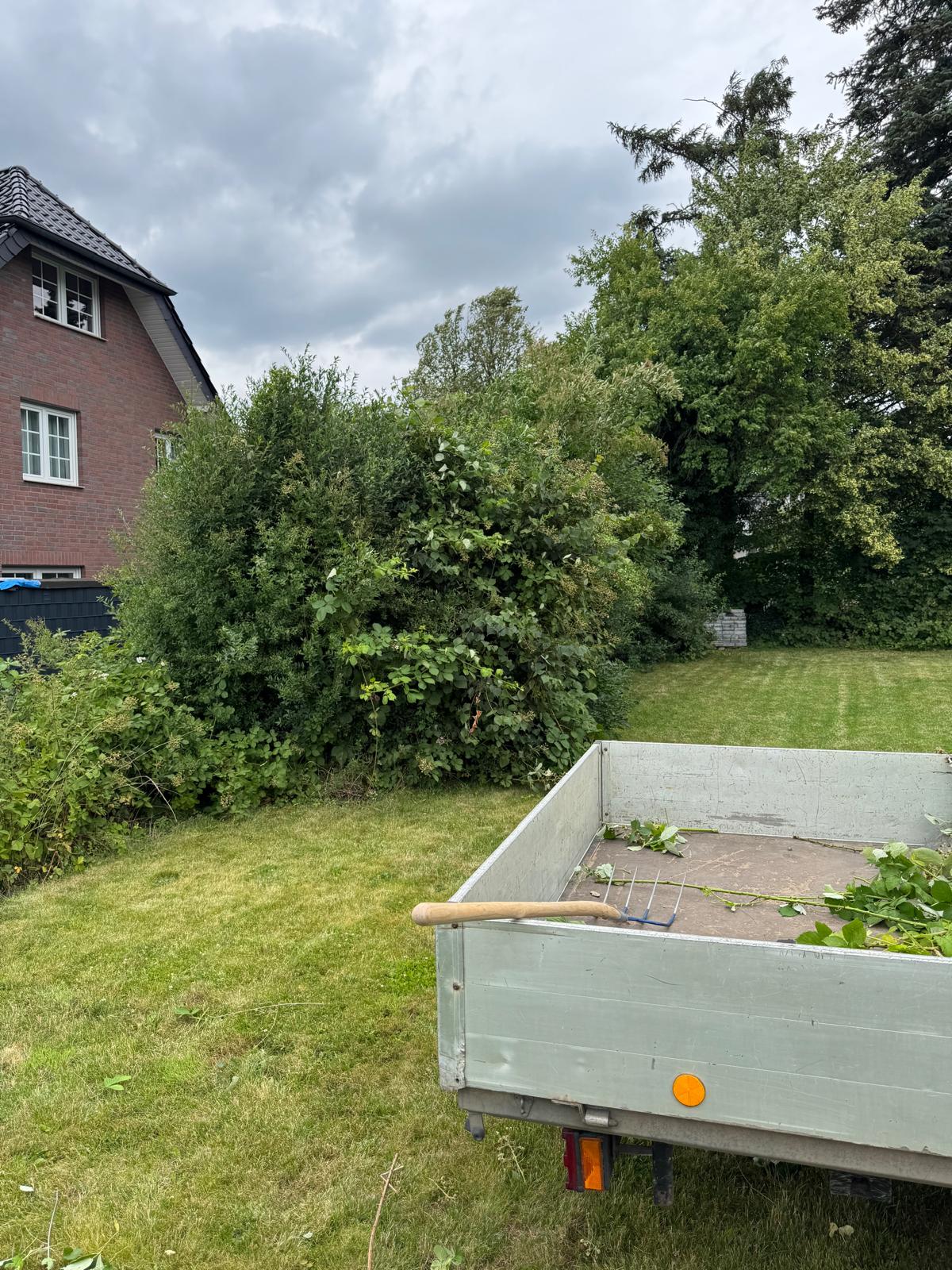 Projekt 5 vorher/nachher vorher